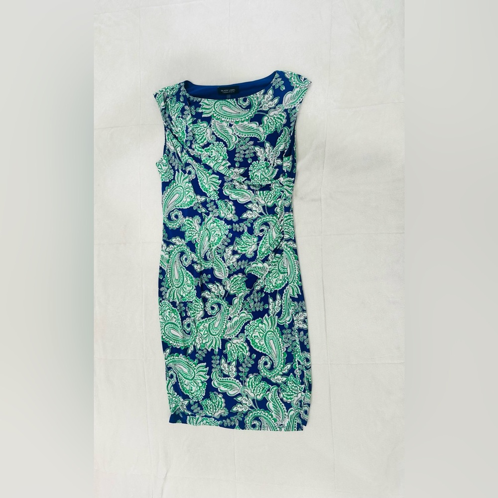 Evan Picone Black Label Blue and Green Paisley Dress